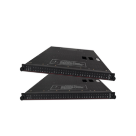 Triconex 4507