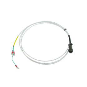 Bently Nevada 16710-32 | Interconnect Cable with Armor